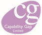 Capability Gap – Management Consultants